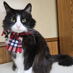 It's cold outside 🥶😼